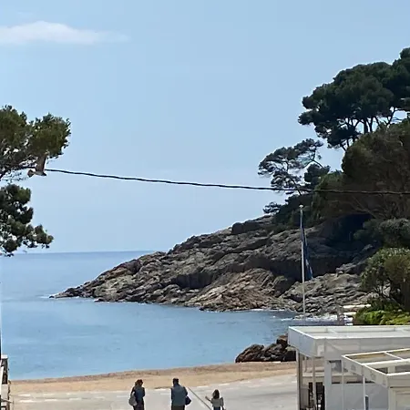 La Mejor Terraza De Apartamento *