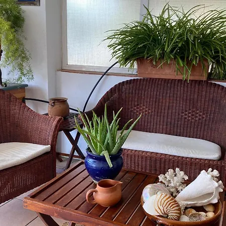 La Mejor Terraza De Apartmán *