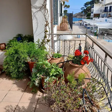 公寓 La Mejor Terraza De