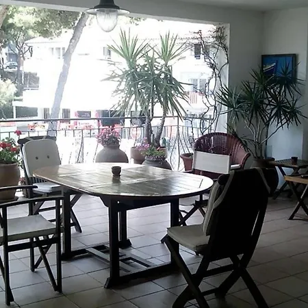 La Mejor Terraza De 塔马留